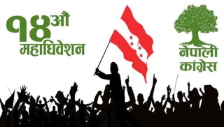 कांग्रेस १४औं महाधिवेशनः २८ जिल्लामा नयाँ नेतृत्व