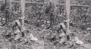 कैलालीमा २५ वर्षीय युवकलाई रुखमा बाँधेर नग्न बनाई घाँटी रेटेर विभत्स हत्या