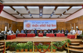 एमालेको विभागका सचिव तोक्ने जिम्मा सचिवालयलाई