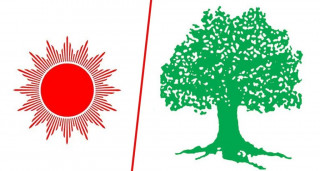 स्थानीय तह निर्वाचनः देशैभरि दुईपक्षीय प्रतिस्पर्धा