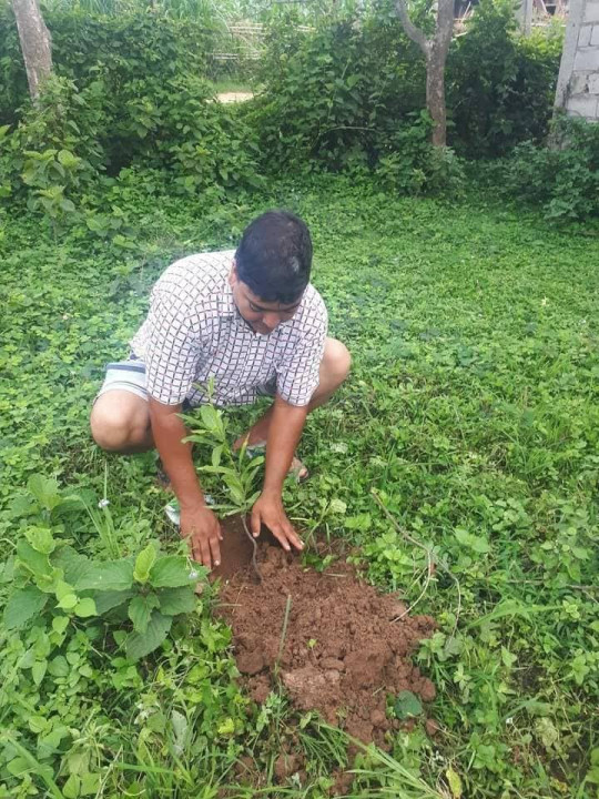 सीता सामुदायिक बन उपभोक्ता समूहद्वारा बृक्षारोपण