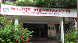 चितवन जिल्लामा आज रोजगार मेला सुरु