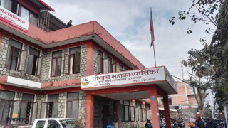 पोखरा महानगरपालिकाले युवालाई स्वरोजगार बनाउन युवा तथा साना व्यवसायी स्वरोजगार कोष  सञ्चालन गरिने