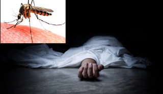 डेङ्गु सङ्क्रमणका कारण ६ जनाको मृत्यु