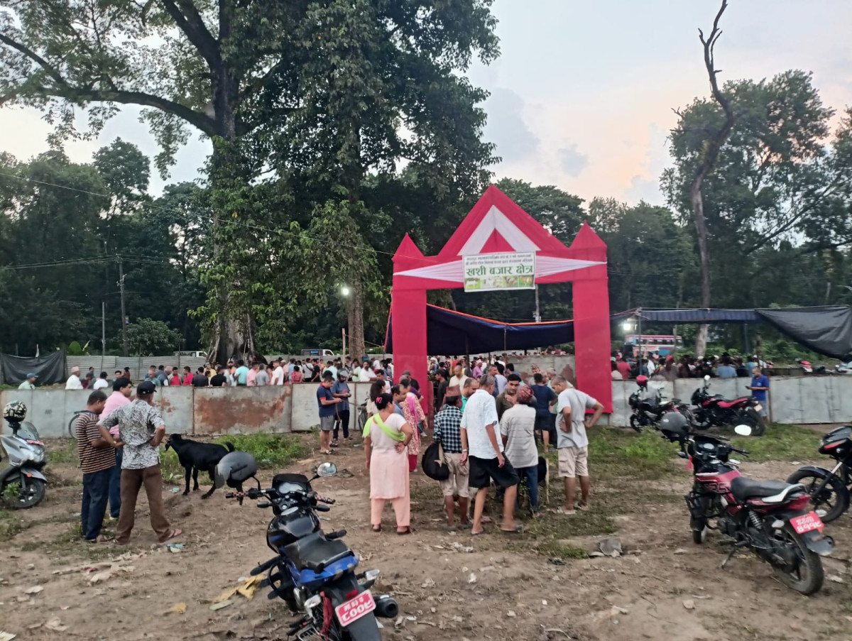 खसीबोकातर्फ आकर्षित  देवघाट क्वादीका किसान : छ किसानको आम्दानी १० लाख २० हजार