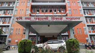कृषि मन्त्रालयले माग्यो स्थानीय तहमा कार्यरत प्राविधिकहरूको विवरण
