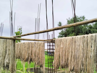 उपकरण प्रयोग गरेर जुट तयारी गर्न थालियो