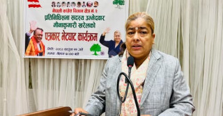 संसदीय चुनावमा मीनाको पहिलो प्रयास